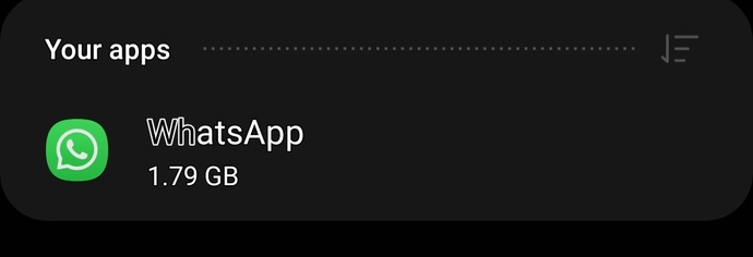 In your cellular apps, Warning dont delete data in your app, how much space MB or GB does your whatsapp fill?