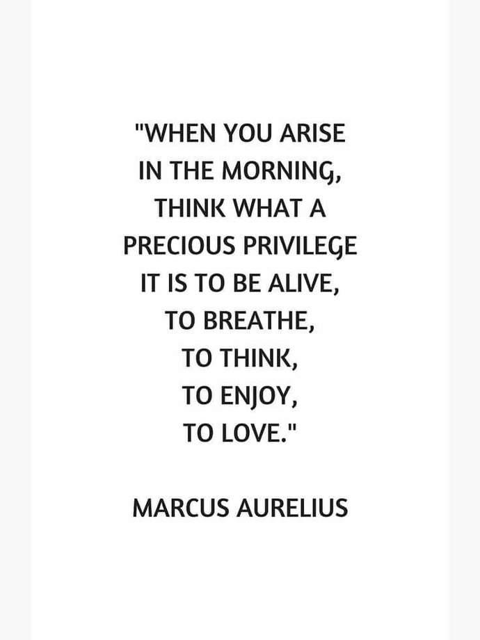 Hows your day/morning 🌞 going? Do you ♥️ the AM solitude? Late sleeper? After bathroom pleasantries, whats next in your ideal routine?