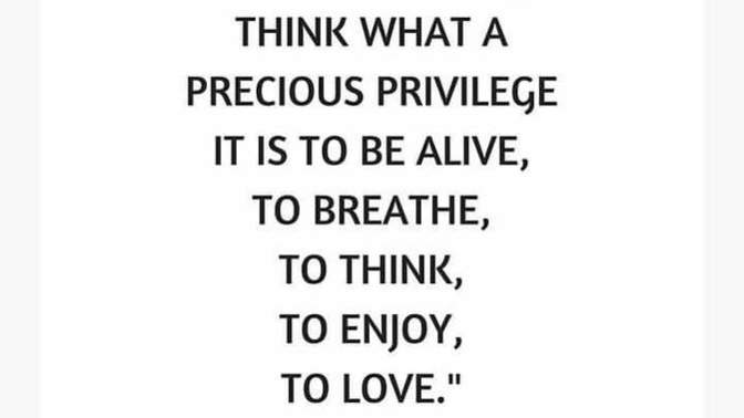 How's your day/morning 🌞 going? Do you ♥️ the AM solitude? Late sleeper? After bathroom pleasantries, what's next in your ideal routine?