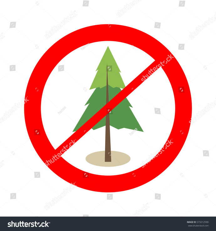 Whats your favorite type of forest?