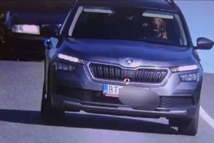 Has a dog ever stolen someone’s car?