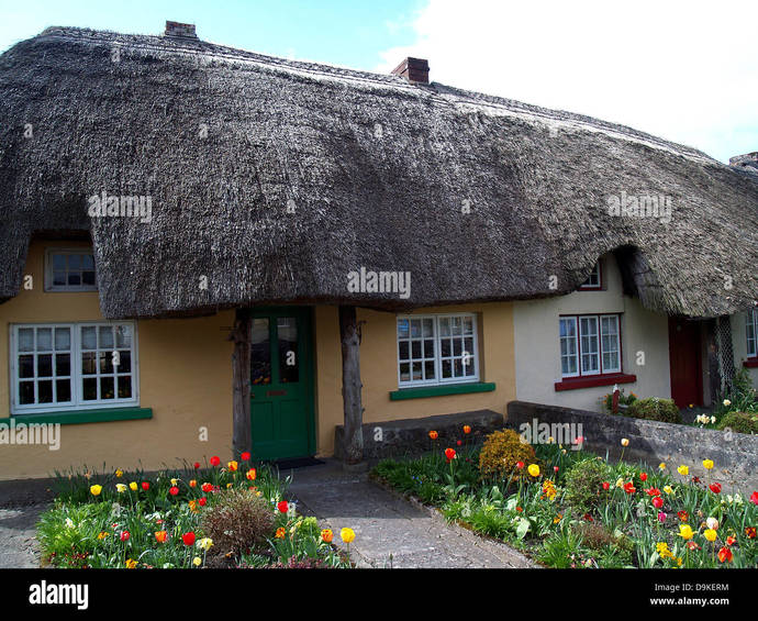 Do you like plant covered houses?