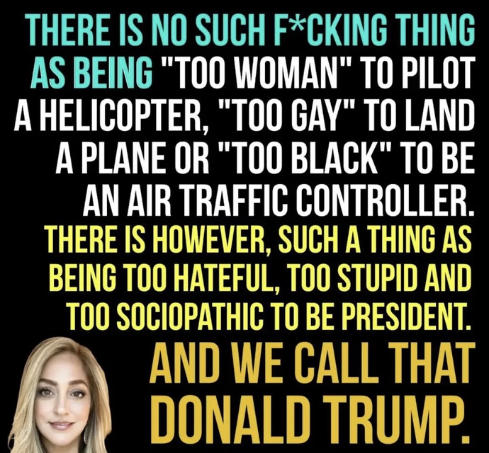 Can you come up with a stupider explanation than Trump for the D. C. plane crash?
