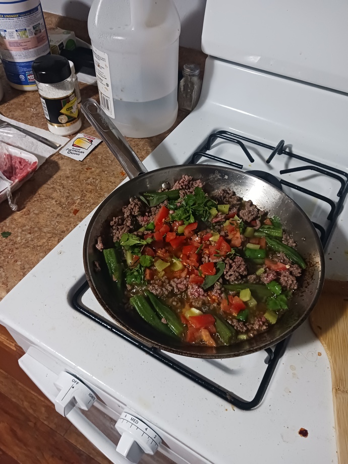 Ground beef with Okra, lemon juice, salt, diced tomatoes, diced peppers, cilantro, and poultry greens?