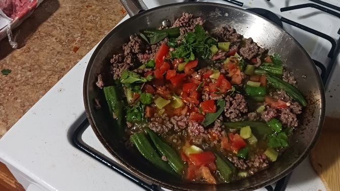 Ground beef with Okra, lemon juice, salt, diced tomatoes, diced peppers, cilantro, and poultry greens?