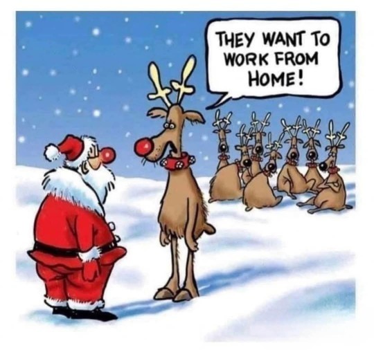 Do you think all people who work should have the right to work from home?