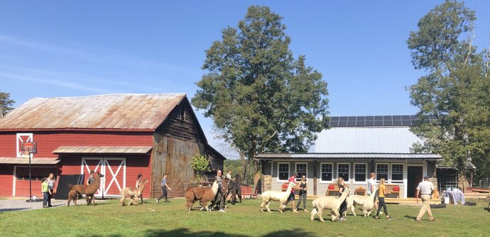 What are some aspects from old/past times (could be any times including medieval and pioneer times) do you think would benefit society nowadays?