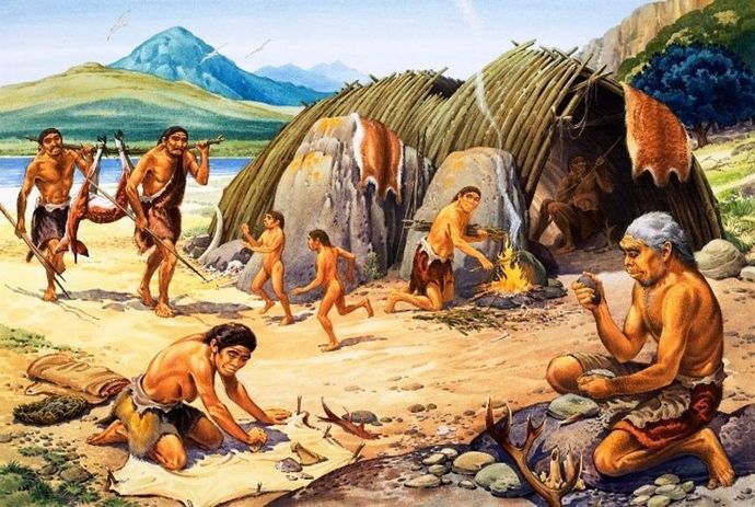 Did your ancestor climbed out of a tree, or go poof... they are here?