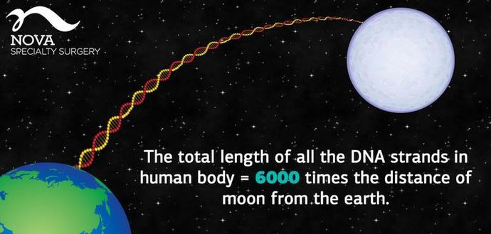 Do you believe in Evolution?
