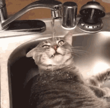 What main way do you usually drink your water?