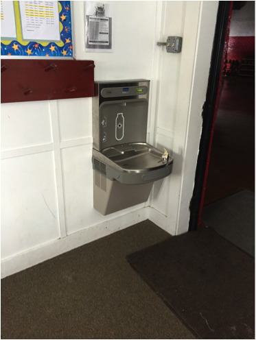 What main way do you usually drink your water?