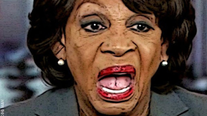The lovely Democrat representative Maxine Waters said that nobody voted for Elon's dumb ass. How many votes did Kamala get in the Democratic primary?