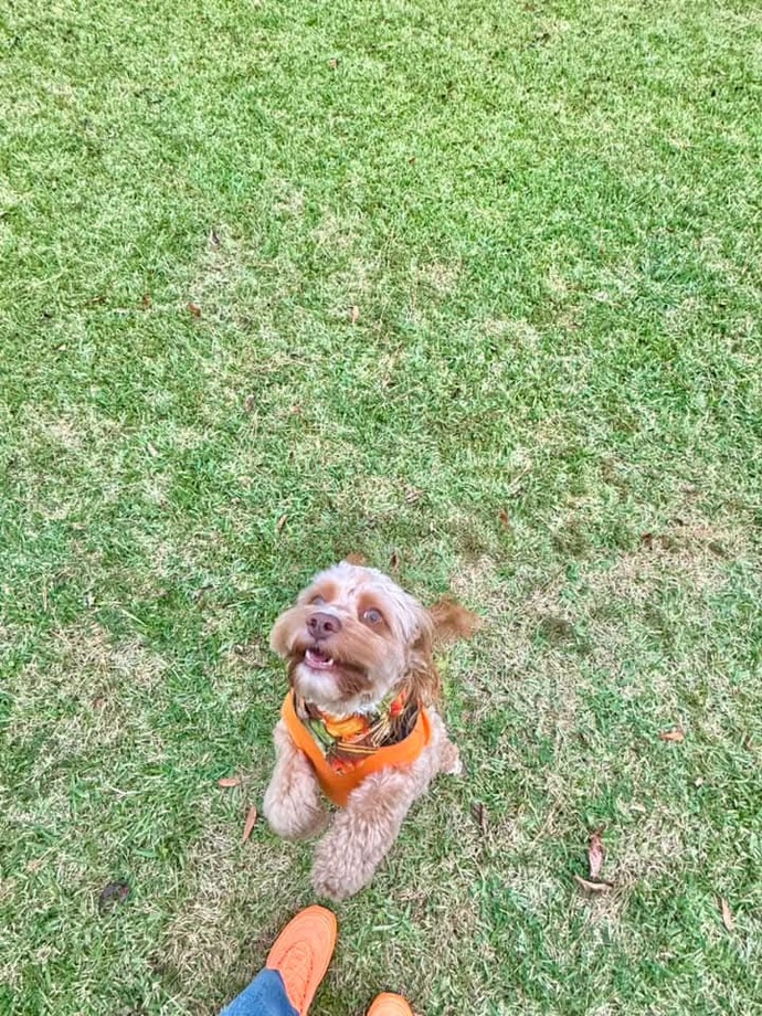 Lets show our pets love, do you have an pictures of your pets you wanna share?