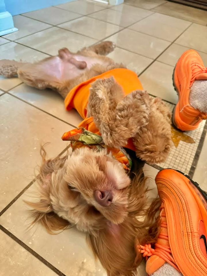 Lets show our pets love, do you have an pictures of your pets you wanna share?
