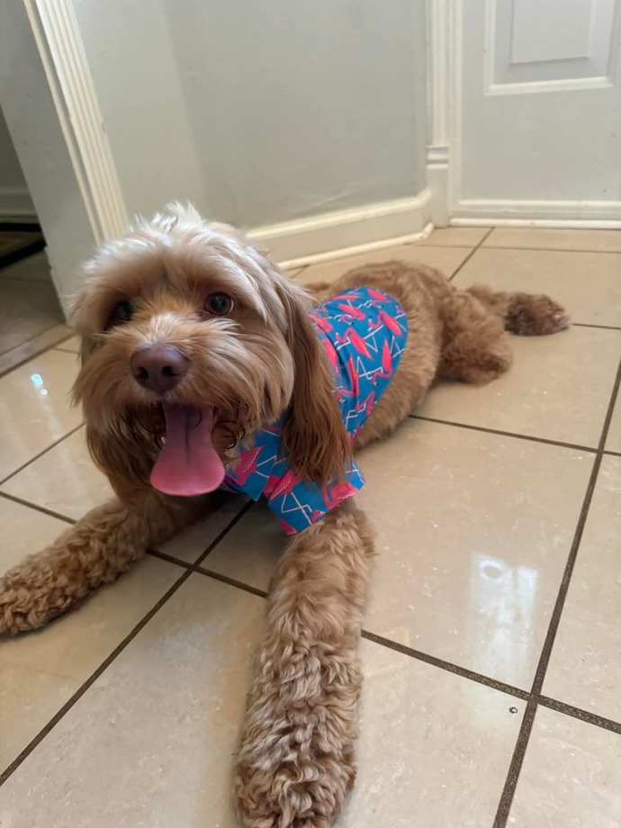 Lets show our pets love, do you have an pictures of your pets you wanna share?
