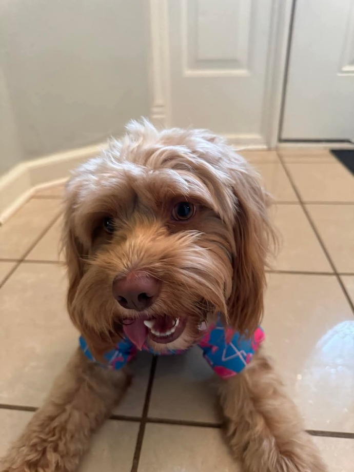 Lets show our pets love, do you have an pictures of your pets you wanna share?