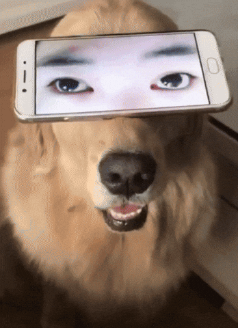 Let's show our pets love, do you have an pictures of your pets you wanna share?