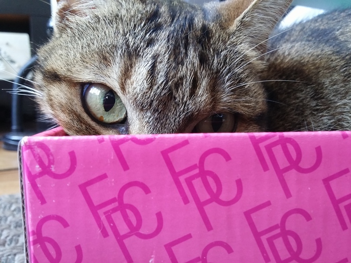 Let's show our pets love, do you have an pictures of your pets you wanna share?