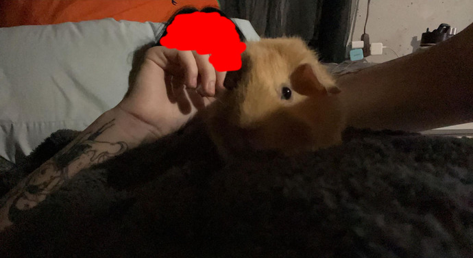 Let's show our pets love, do you have an pictures of your pets you wanna share?