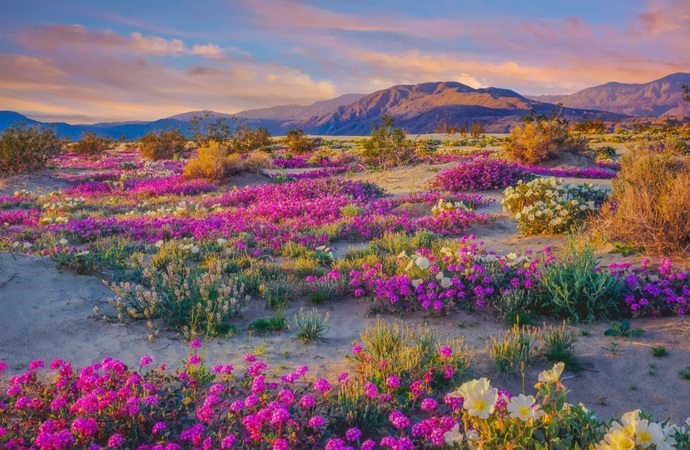 Which is the most beautiful state in USA?