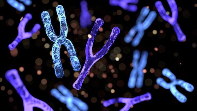 Do you agree that “cheating might be genetic”?