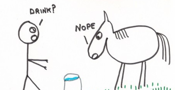 “You can lead a horse to water, but you can’t make him drink.”