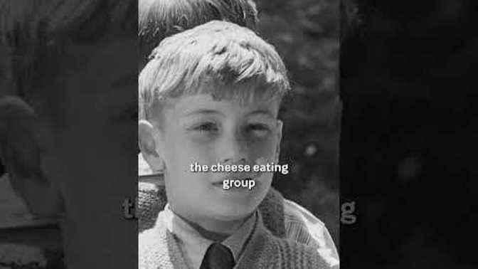 Is eating CHEESE better than eating MEAT?
