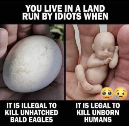 Thoughts on this picture? Agree or No?