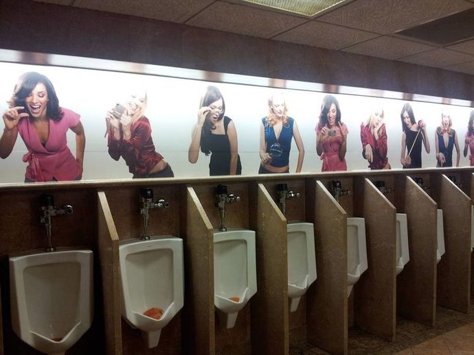Guys, what bathroom would you rather use?
