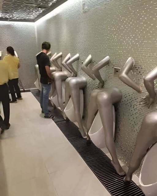 Guys, what bathroom would you rather use?