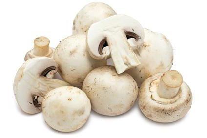 What kind of mushrooms you like in your cuisine?