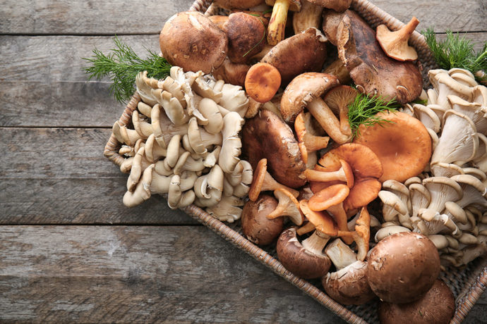 What kind of mushrooms you like in your cuisine?