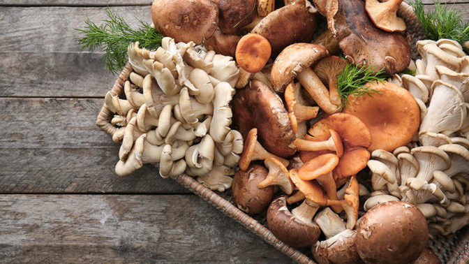 What kind of mushrooms you like in your cuisine?