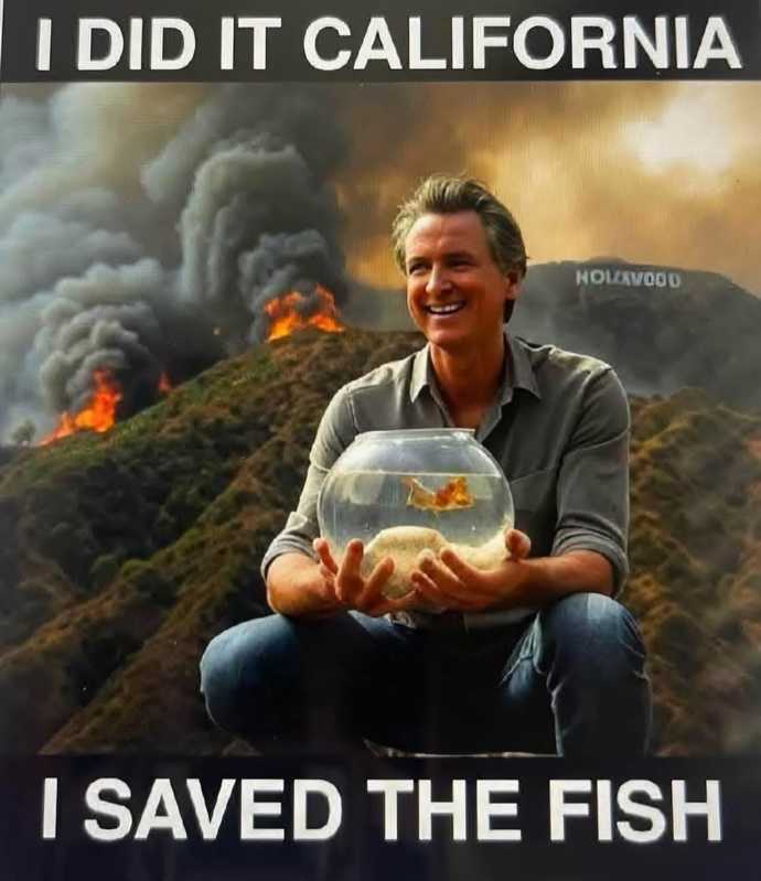 Why does MAGA hate California?