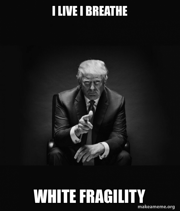 Should Trump make it illegal to criticize the white race on tv, media and society altogether?