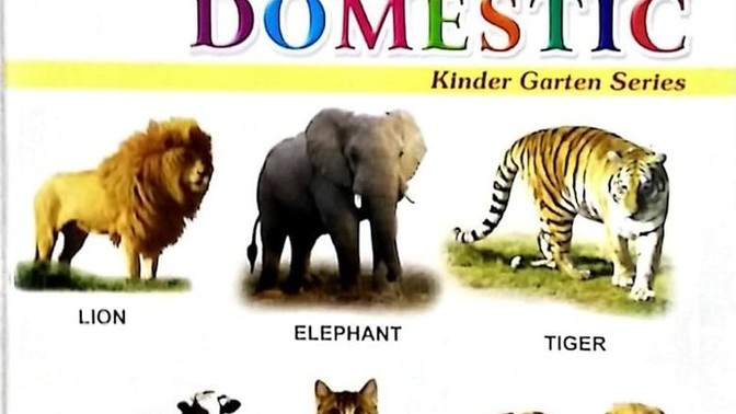 Have you had any bad experiences with any animal, whether domestic or wild?