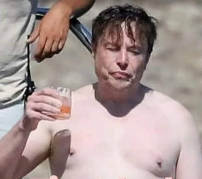 Will Musk find hundreds of billions of fraud and abuse?