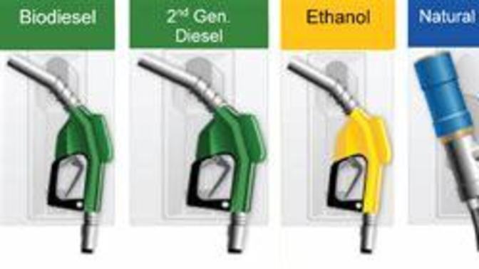 What kind of fuel does your car run on?