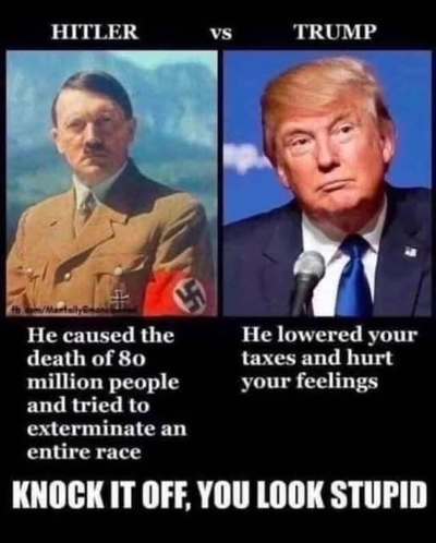 Why does the left keep asserting that America is on the same path as nazi Germany?