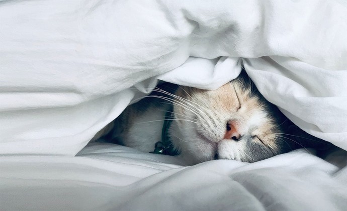 What makes you fall asleep easily at night or what keeps you up?