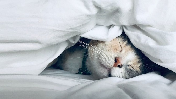 What makes you fall asleep easily at night or what keeps you up?
