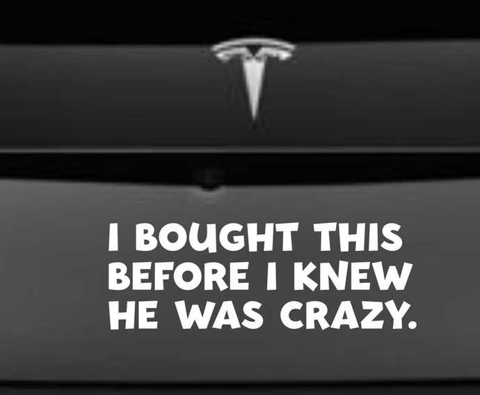 Does how you feel about Elon Musk change your view of owning Tesla?