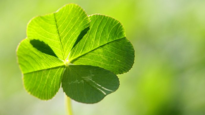 Anyone else feel like they bring luck to people?