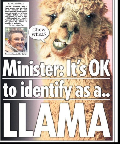 Should people who identify as llamas be eligible for DEI schemes?
