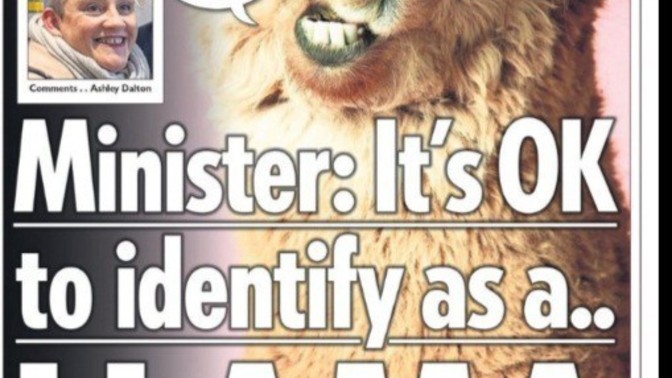 Should people who identify as llamas be eligible for DEI schemes?