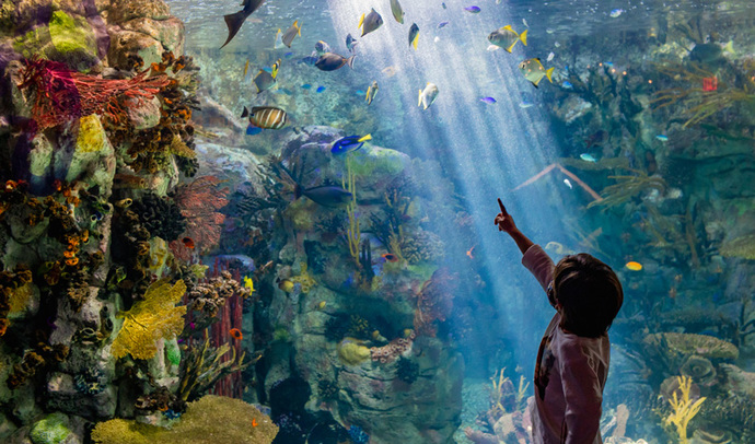 Is San Diego the most underrated city in America?