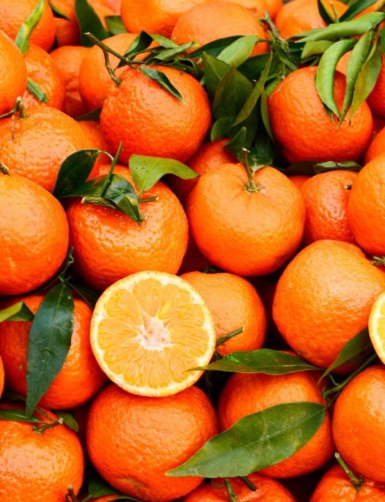 Do you like clementines or cuties?