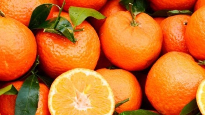Do you like clementines or cuties?
