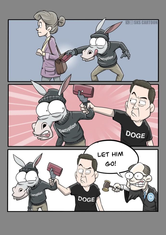 Why are Democrats against DOGE so much? Arent they tired of corruption too?