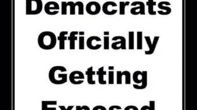 Why are Democrats against DOGE so much? Aren't they tired of corruption too?